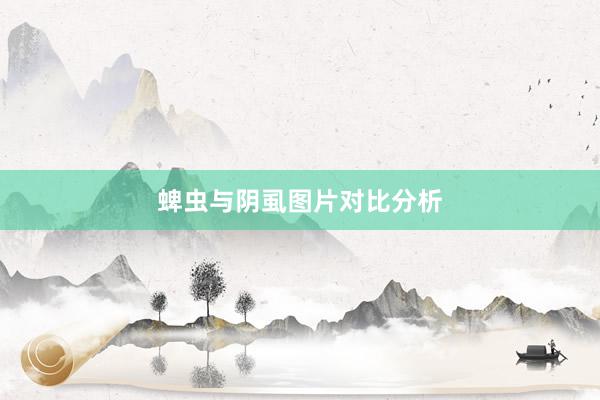 蜱虫与阴虱图片对比分析
